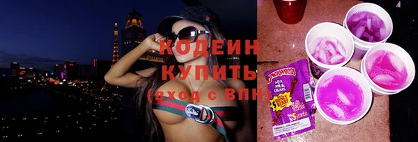 сатива Вяземский