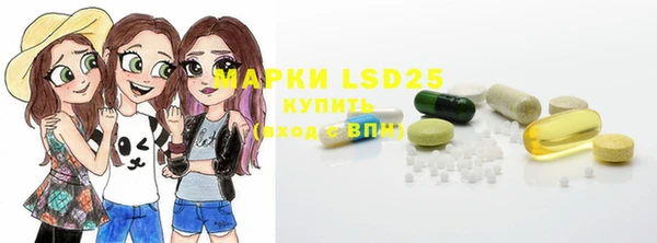 сатива Вяземский