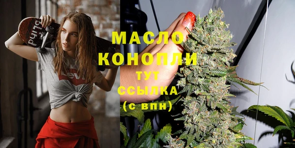 сатива Вяземский