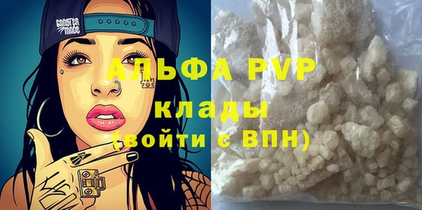 сатива Вяземский