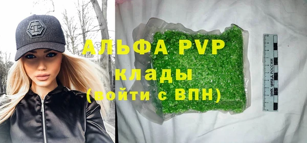 сатива Вяземский