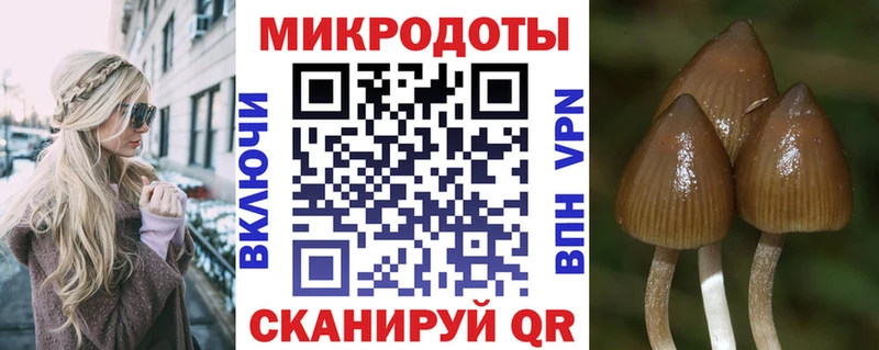 Псилоцибиновые грибы GOLDEN TEACHER  Чкаловск 